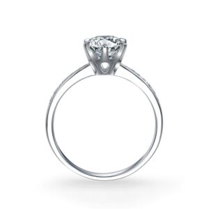 Nhẫn Cầu Hôn 14K CZ My World