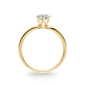 Nhẫn cầu hôn 14K CZ Trust Me