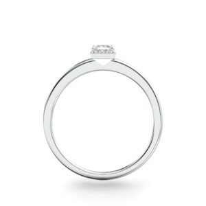 Nhẫn Vàng 10K CZ Princess Briar Rose