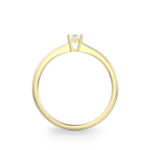 Nhẫn Vàng 10K CZ Princess Mary