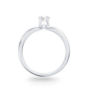 Nhẫn Cầu Hôn 14K CZ Pari