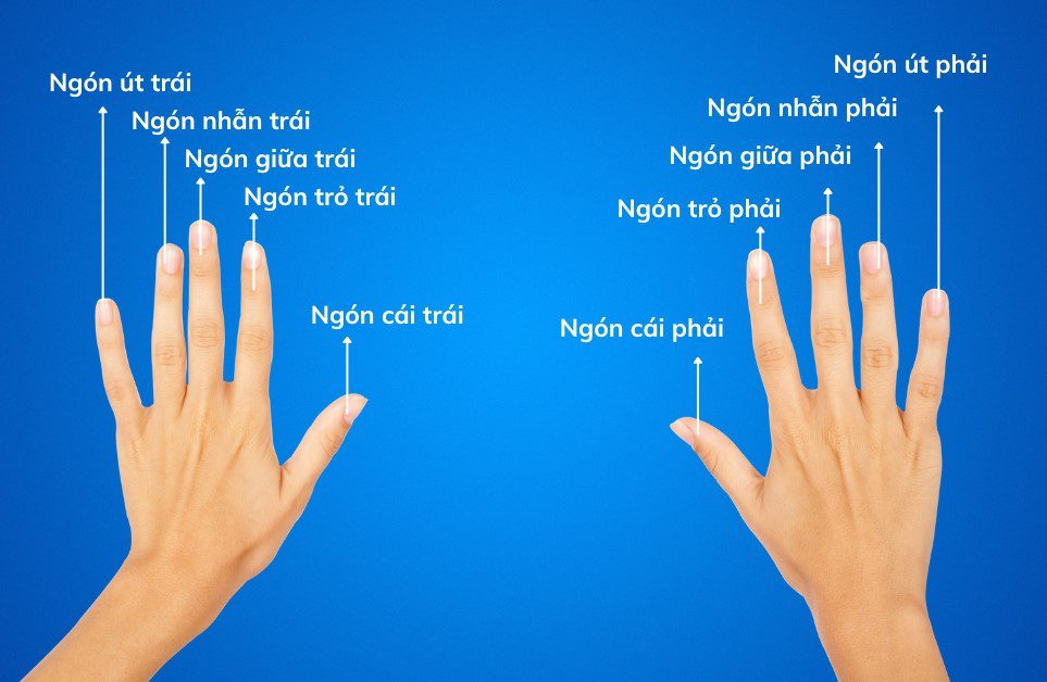 Ý nghĩa 10 ngón tay khi đeo nhẫn theo phong thủy