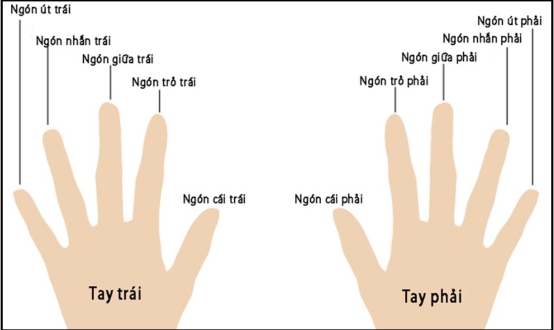 Giải mã ý nghĩa đeo nhẫn các ngón tay bạn nên biết