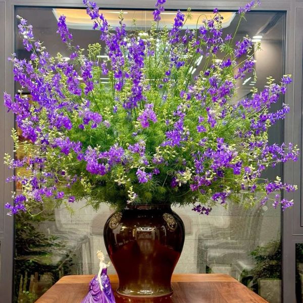 Hoa Violet trang trí đám cưới