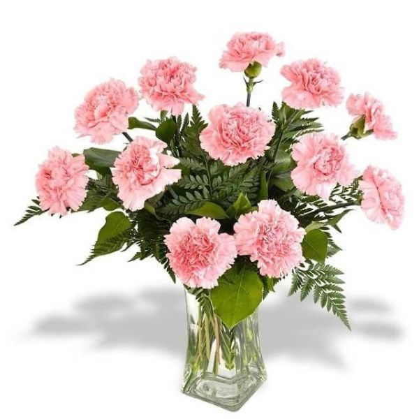 Hoa cẩm chướng trang trí đám cưới