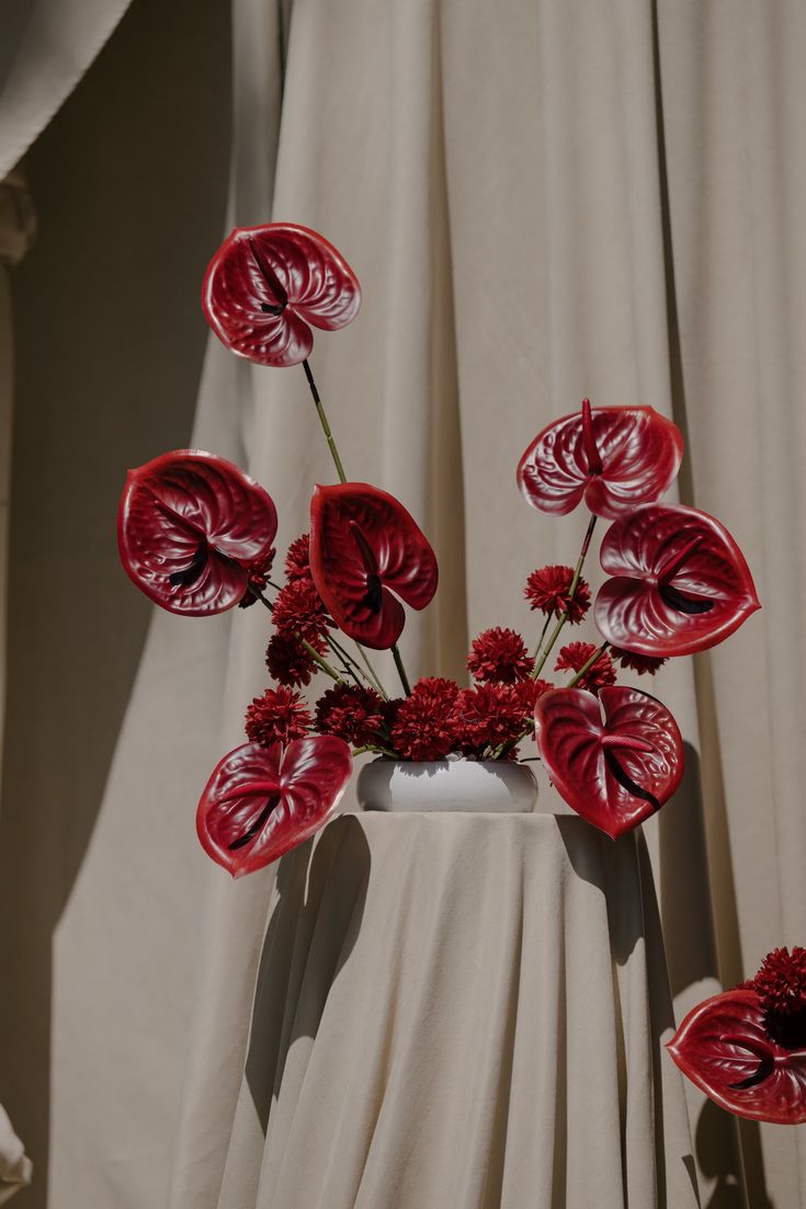 Hoa hồng môn trang trí đám cưới