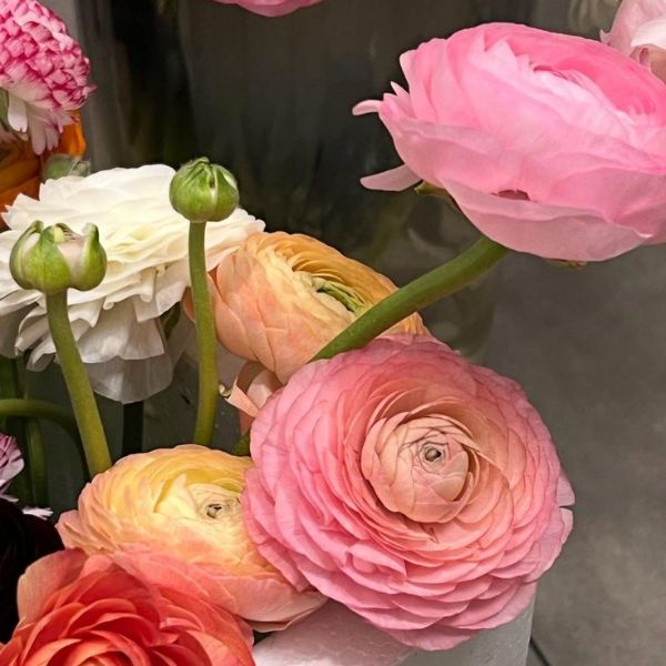 Hoa mao lương trang trí đám cưới