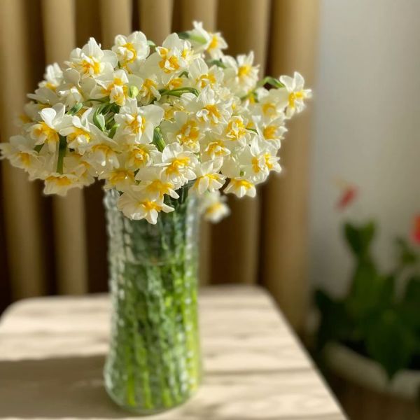 Hoa thủy tiên trang trí đám cưới