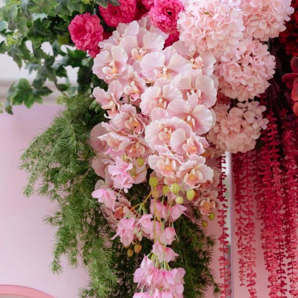 Lan hồ điệp trang trí đám cưới