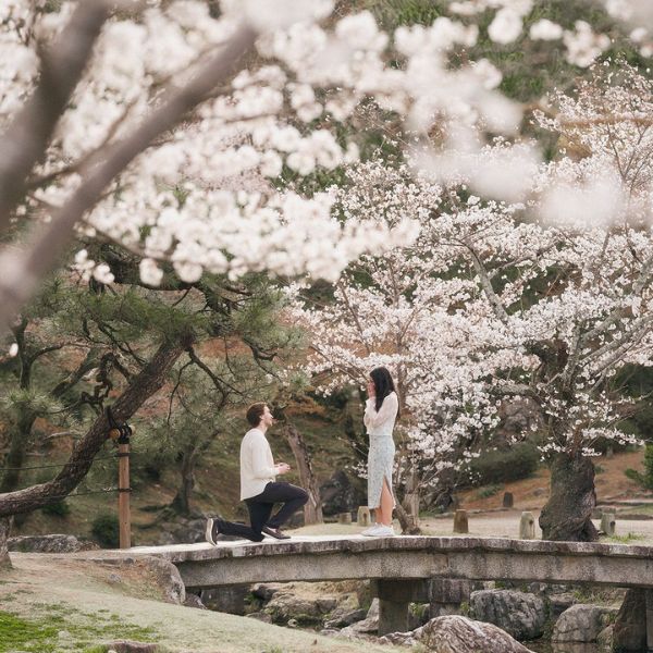 Cách quỳ gối cầu hôn đúng chuẩn