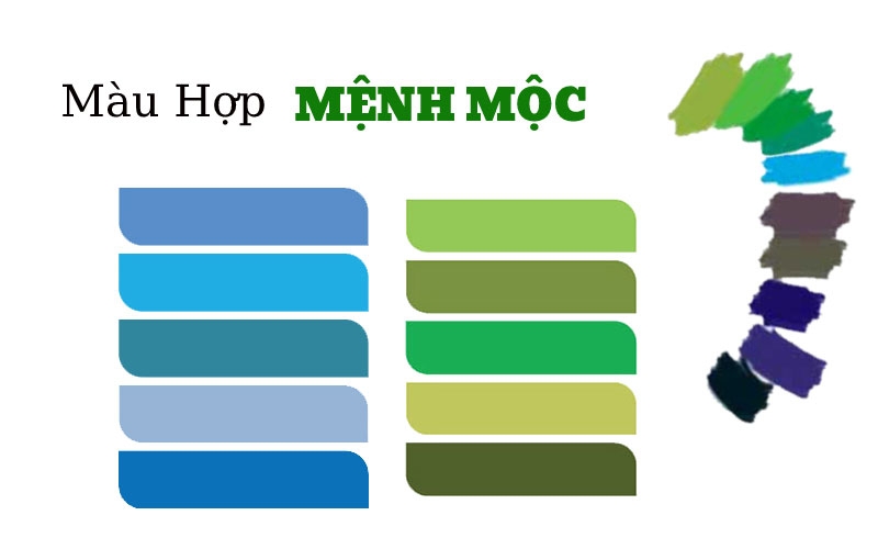 Mệnh Mộc hợp màu nào