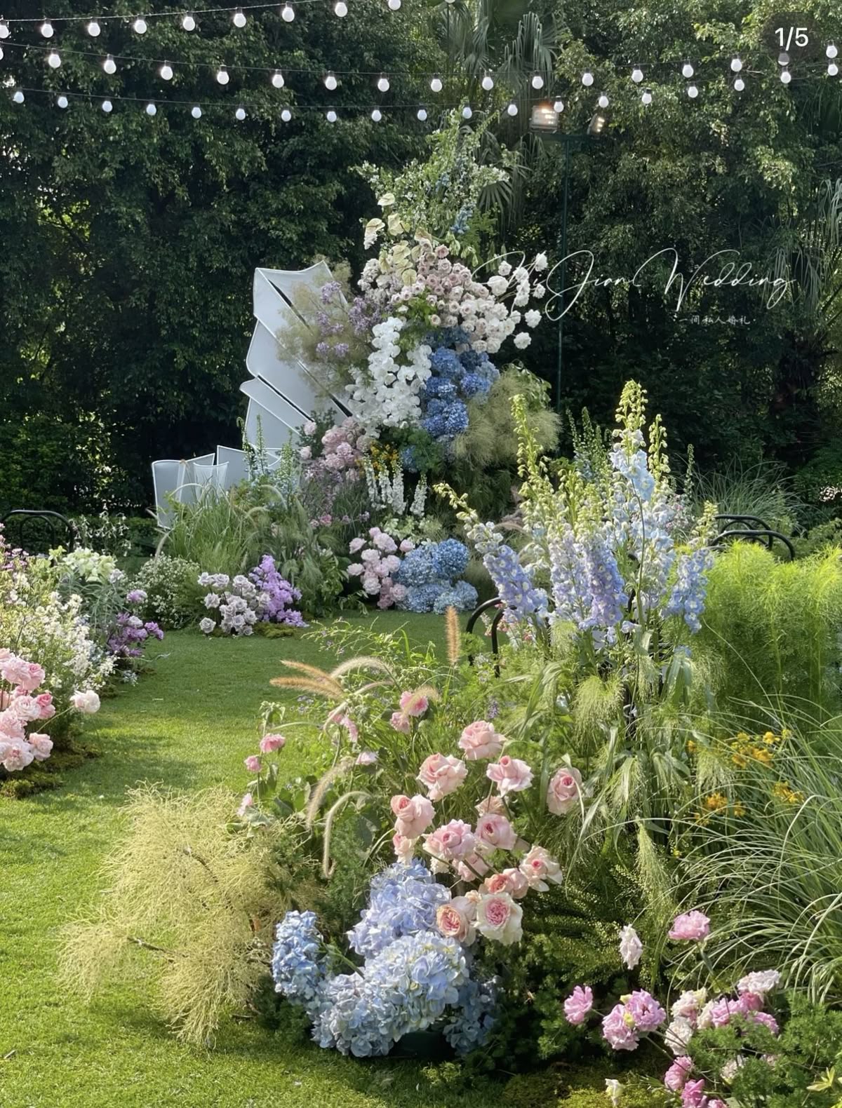 Hoa cẩm tú cầu trang trí đám cưới