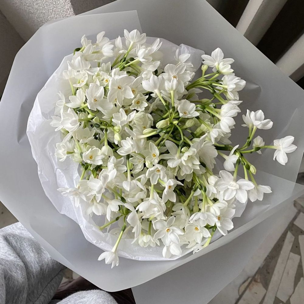 Loài hoa tượng trưng cho tình yêu