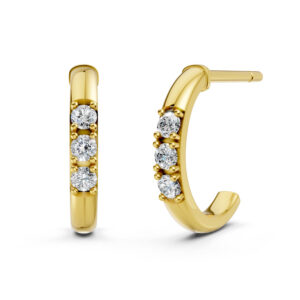 Hoa Tai Vàng 10K CZ Aria