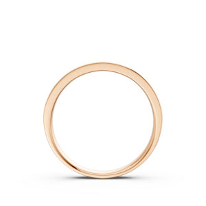 Nhẫn Cưới Nữ 10K CZ All My Life - Slim Design(Solid Band)