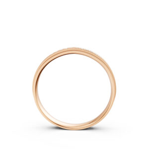 Nhẫn Cưới Nữ 14K CZ Idyllic Scenery-Solid Band