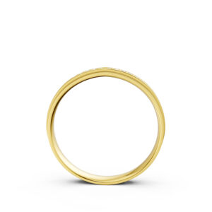 Nhẫn Cưới Nữ 14K CZ Idyllic Scenery-Solid Band