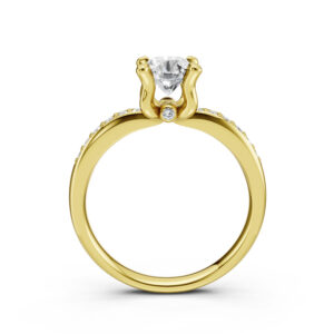 Nhẫn Cầu Hôn 14K Kim Cương Pari