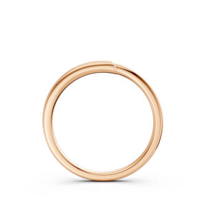 Nhẫn Cưới Nữ 10K CZ Warmest Embrace