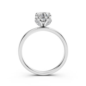 Nhẫn Cầu Hôn 10K CZ Aruba