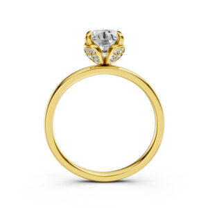 Nhẫn Cầu Hôn 10K CZ Aruba