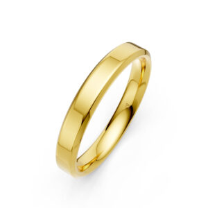 Nhẫn Cưới Nam 10K CZ Perseus