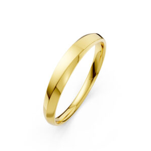 Nhẫn Cưới Nam 14K Always You