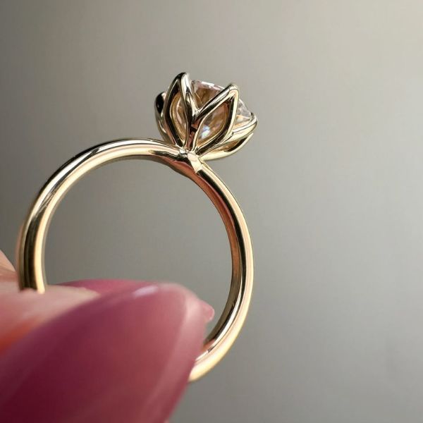 Chấu Tulip