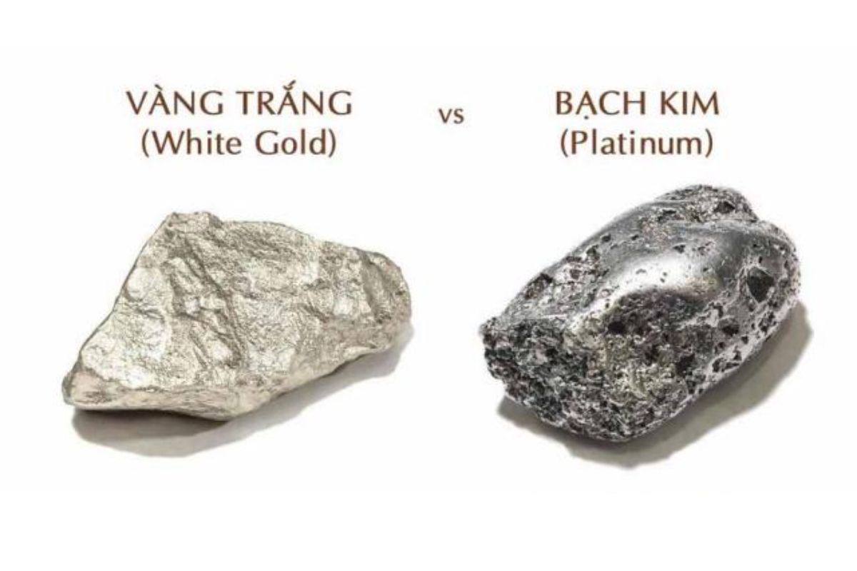 Vì sao nhẫn bạch kim đắt hơn vàng?